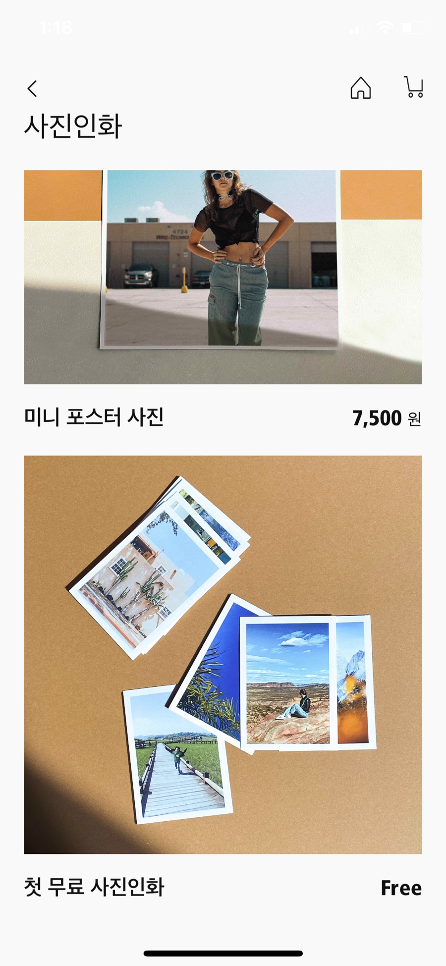 필라로이드 이미지