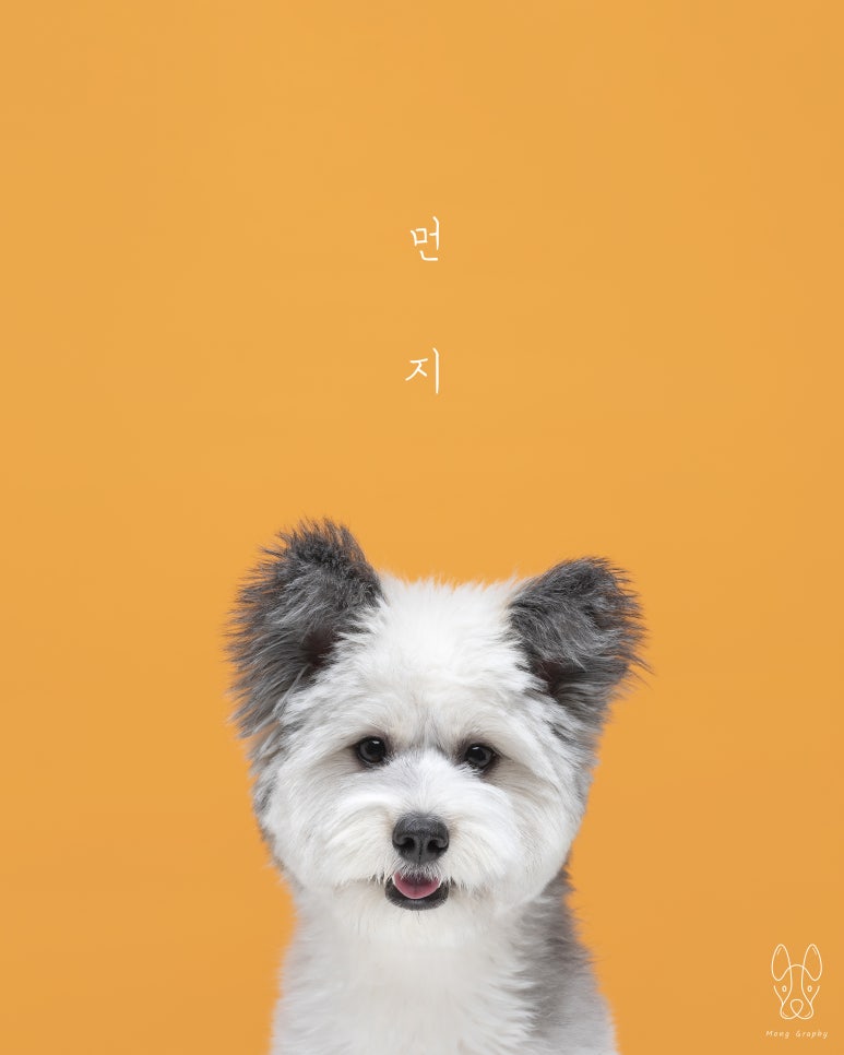 몽그라피 이미지