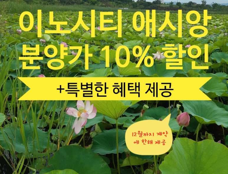 이노본 이미지