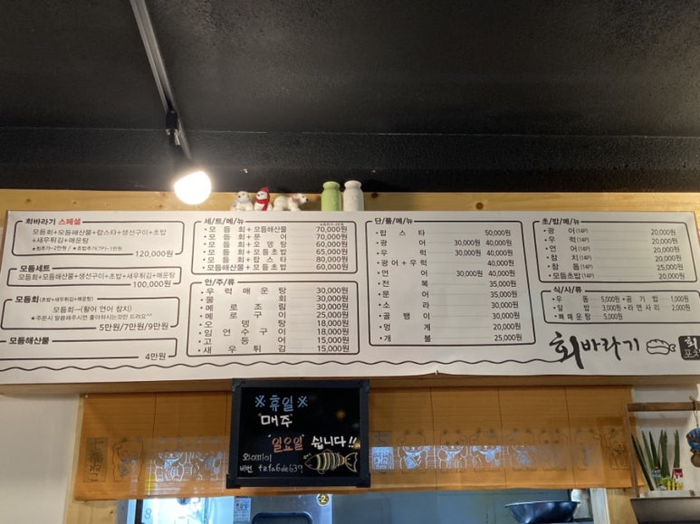 회바라기 이미지