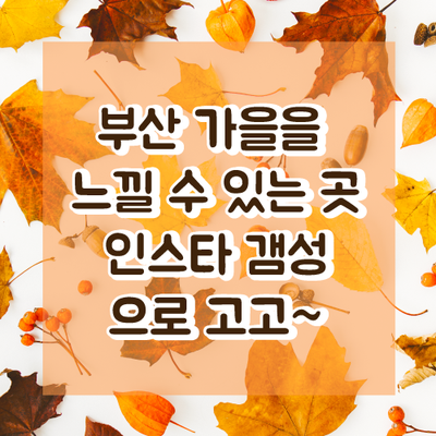 뷰티 엘 이미지