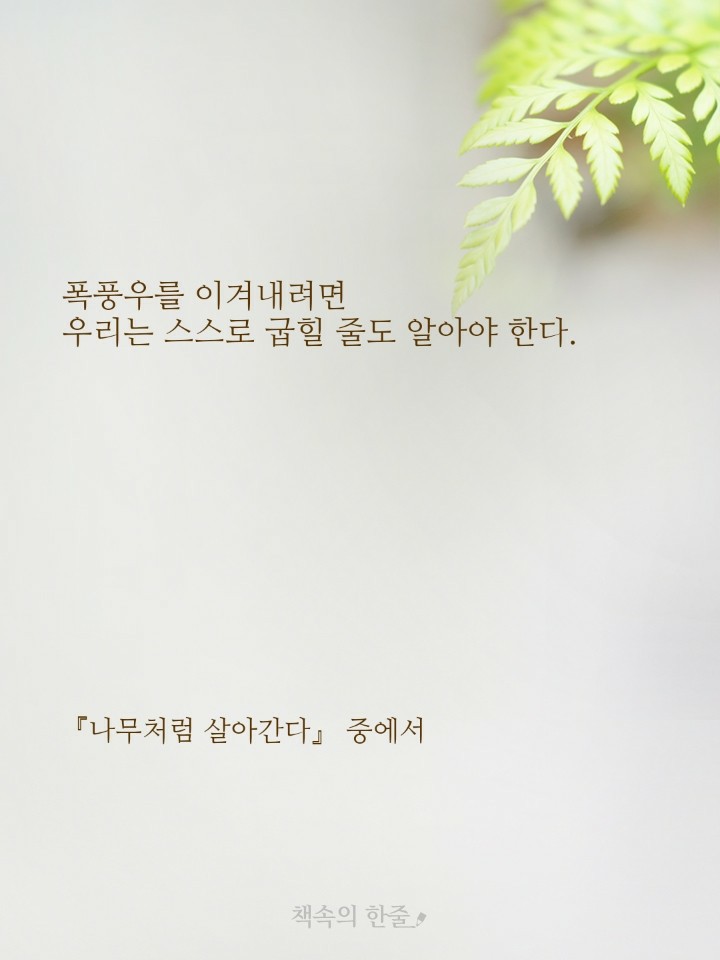신우시스템에어컨 이미지