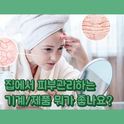 뷰티 엘 이미지