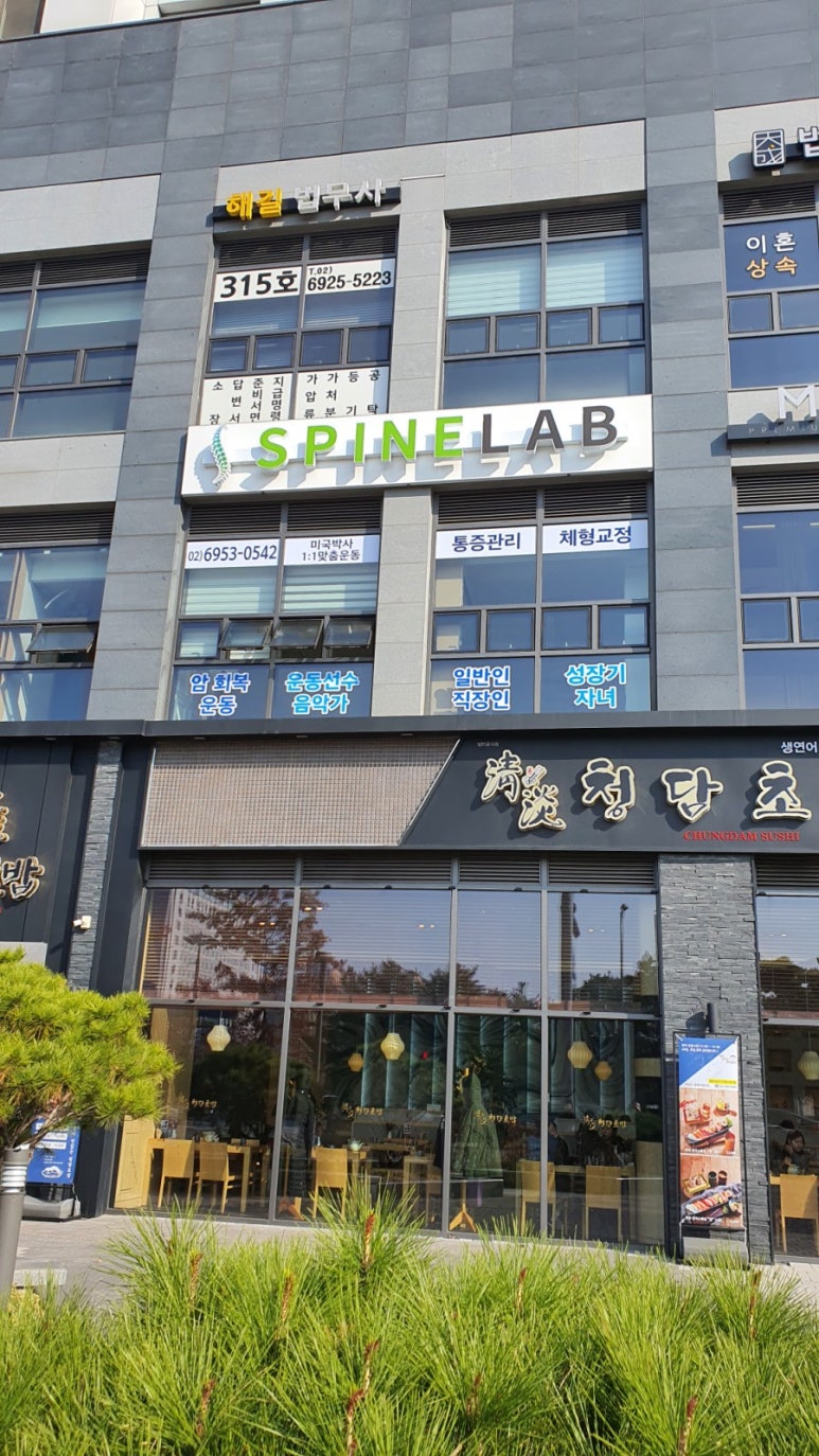 스파인랩 이미지