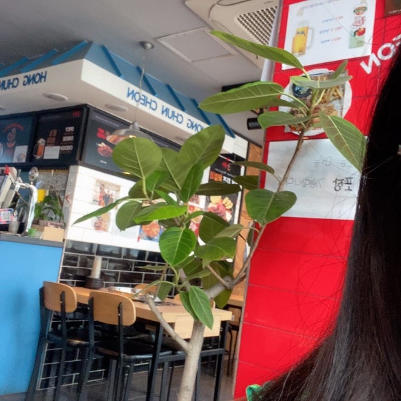 홍춘천마포구청점 이미지