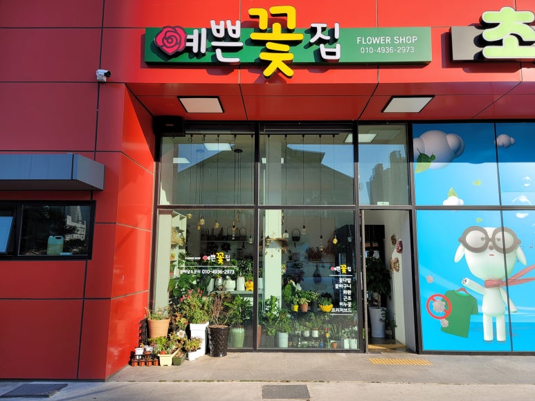 포항나이스카드 이미지