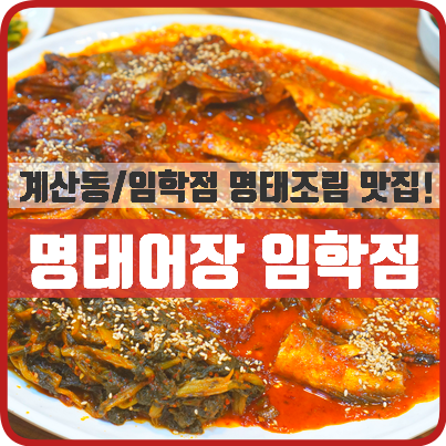 명태랑임학점 이미지