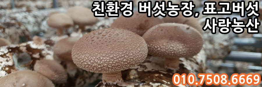 대야지업사 이미지