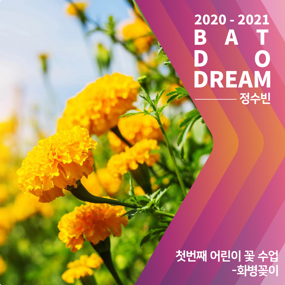 (주)어니스트초이스 이미지