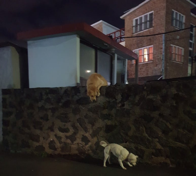 일부두식당 이미지