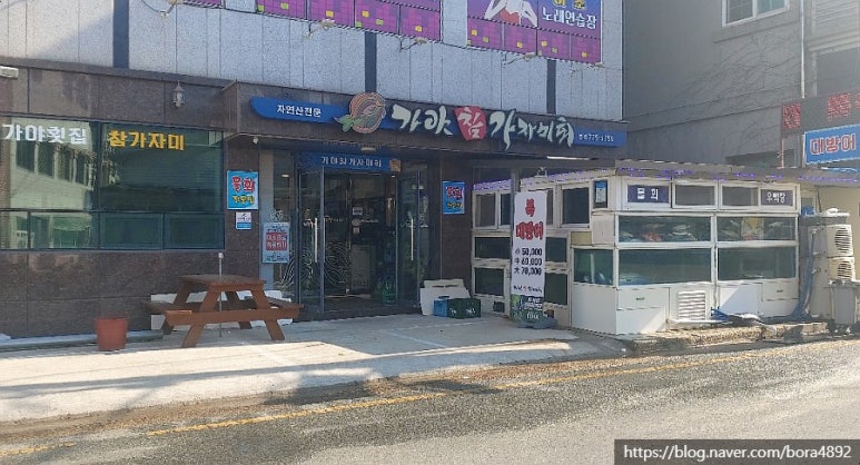 가야참가자미회 이미지