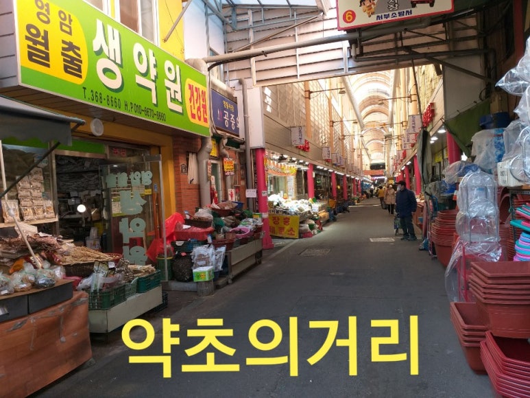 양동약초 이미지