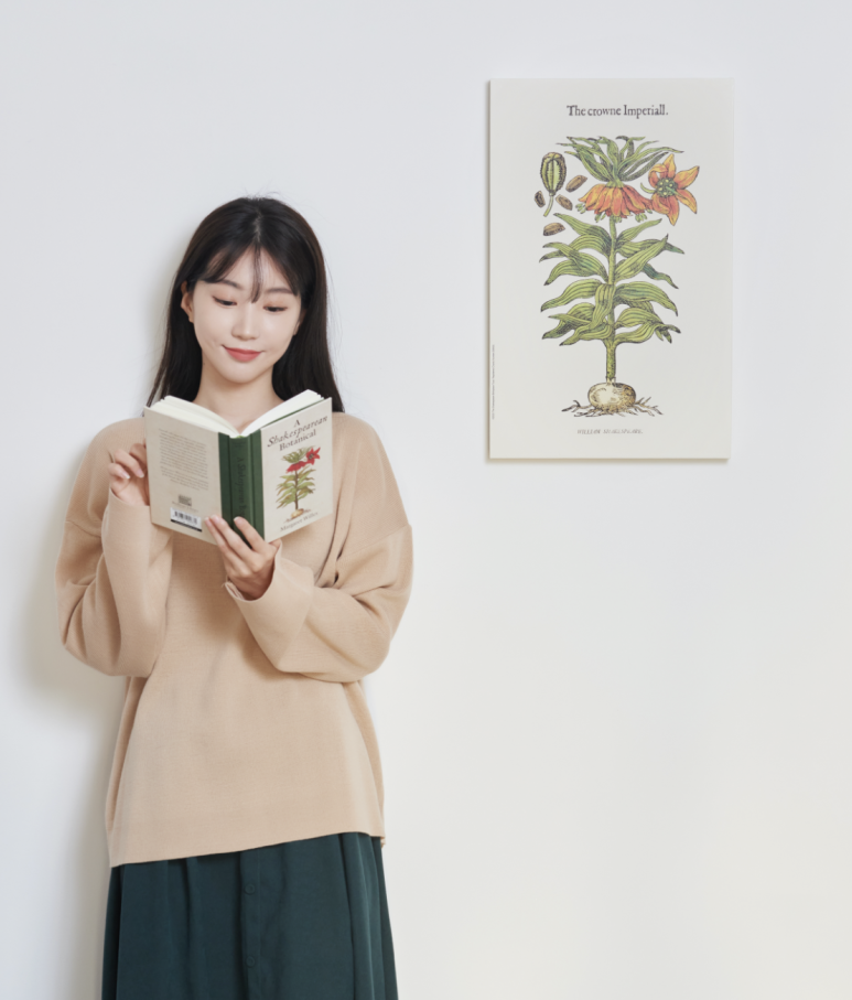 동춘콜렉션 이미지