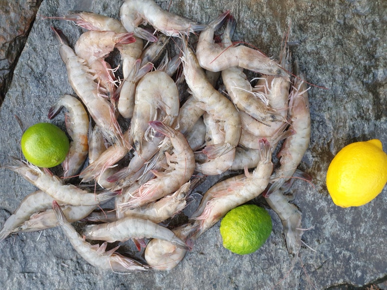 청해 SEAFOOD 이미지
