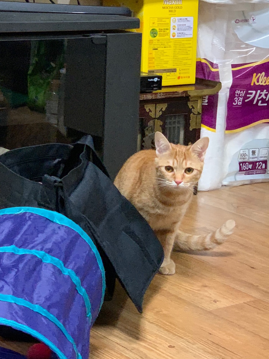 세은맘김밥 이미지