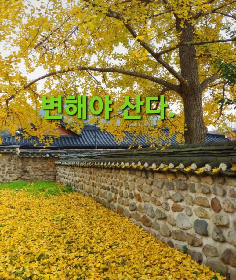 진솔산림기술사사무소 이미지