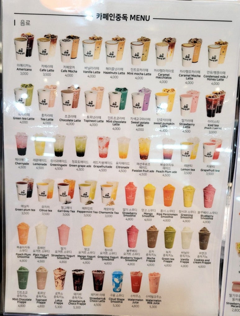 카페인중독전주 이미지