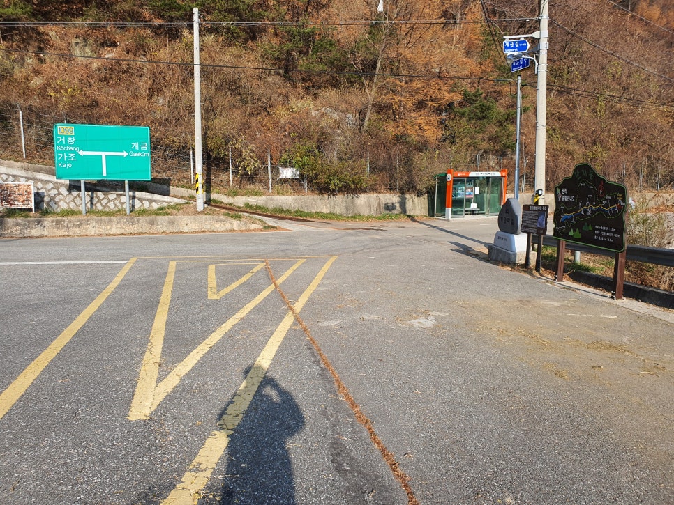 개금약초 이미지