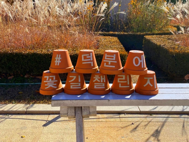 제이든키친 이미지