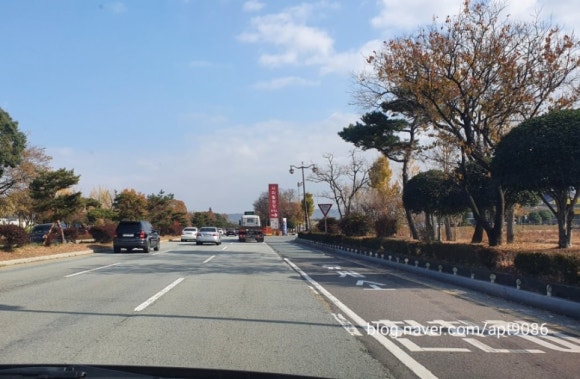 신기기사식당 이미지