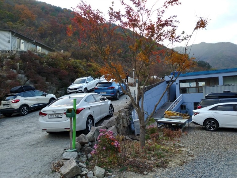 천태산오토캠핑장 이미지