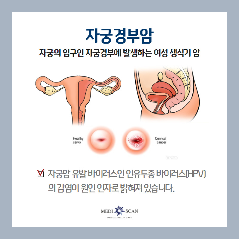 경부환경 이미지