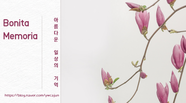 라삐도 이미지