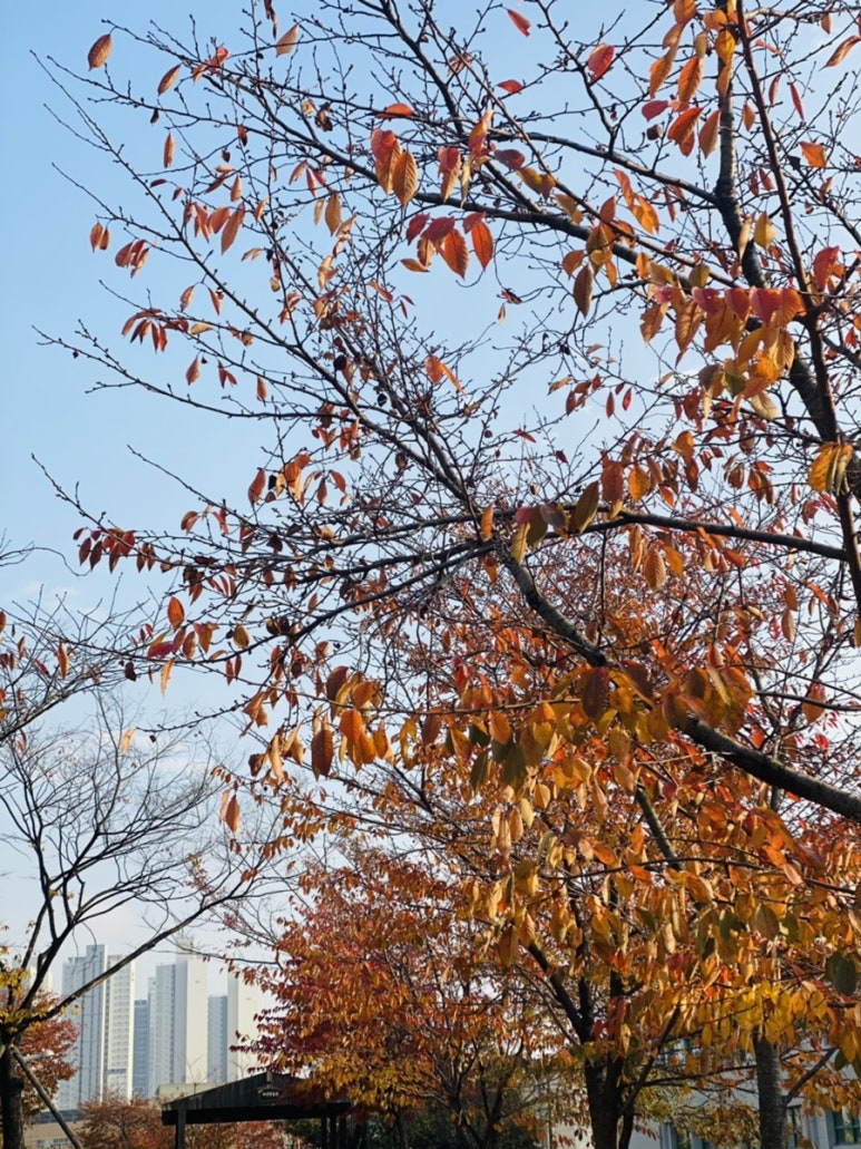 투썸플레이스인천인하대 이미지
