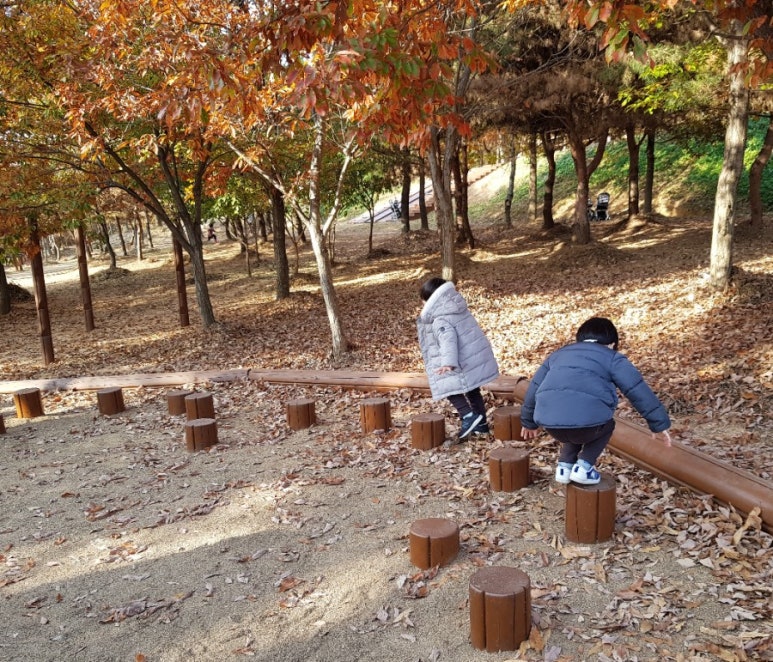 빛가람 유아숲체험원 이미지