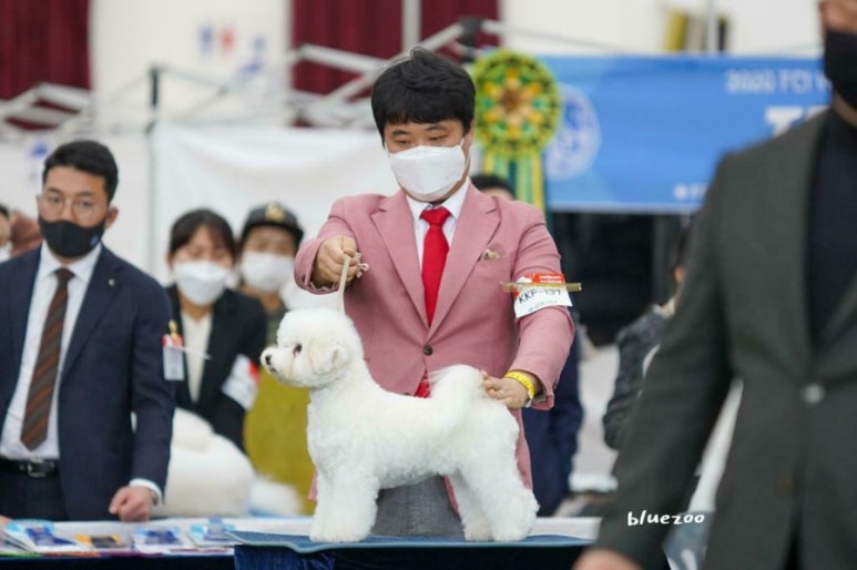 화이트썬데이 이미지