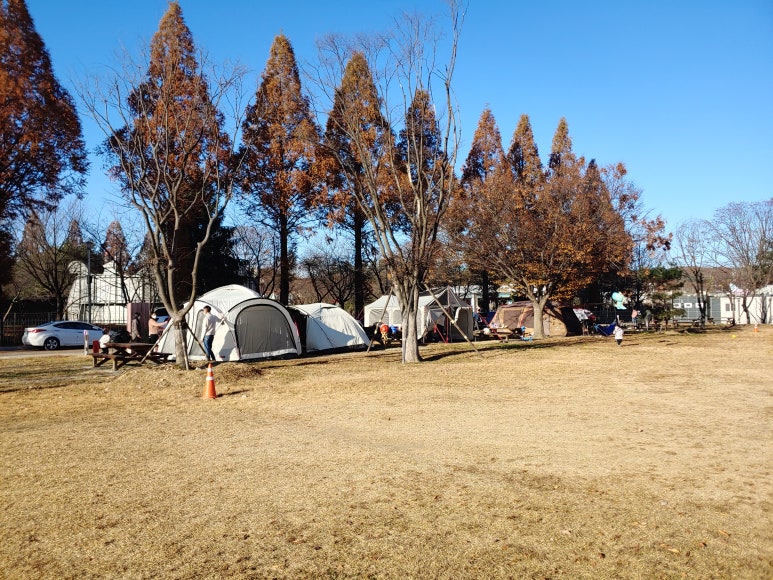 공릉관광지 캠핑장 이미지