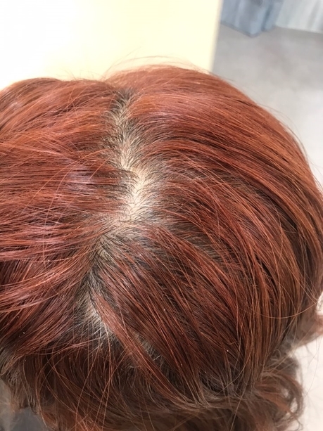 셰어벨 이미지