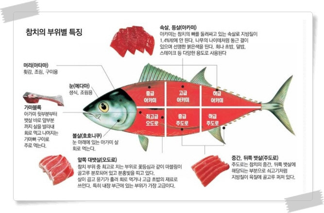 스시락 이미지