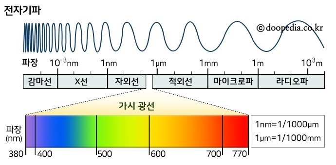 찜들 이미지