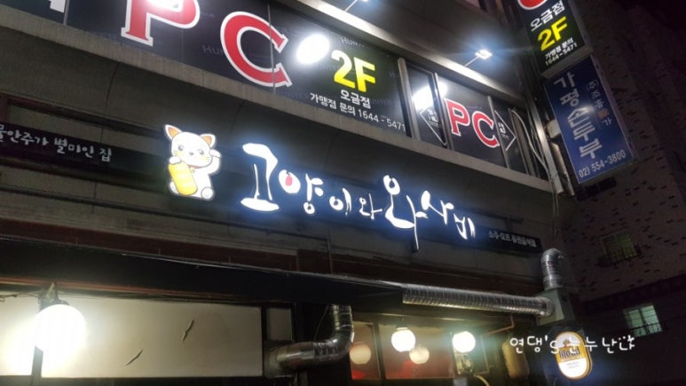 고양이와 와사비 이미지