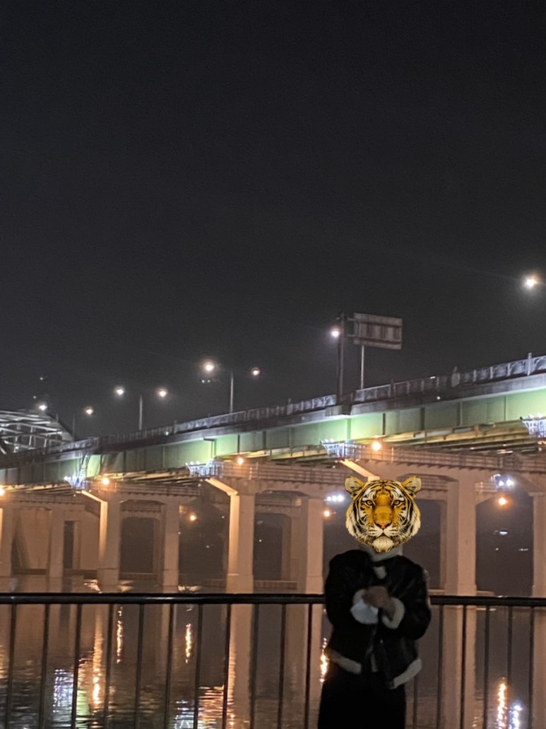 호랑이보부상 이미지