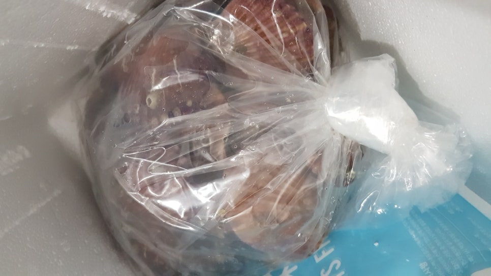 시온수산 이미지