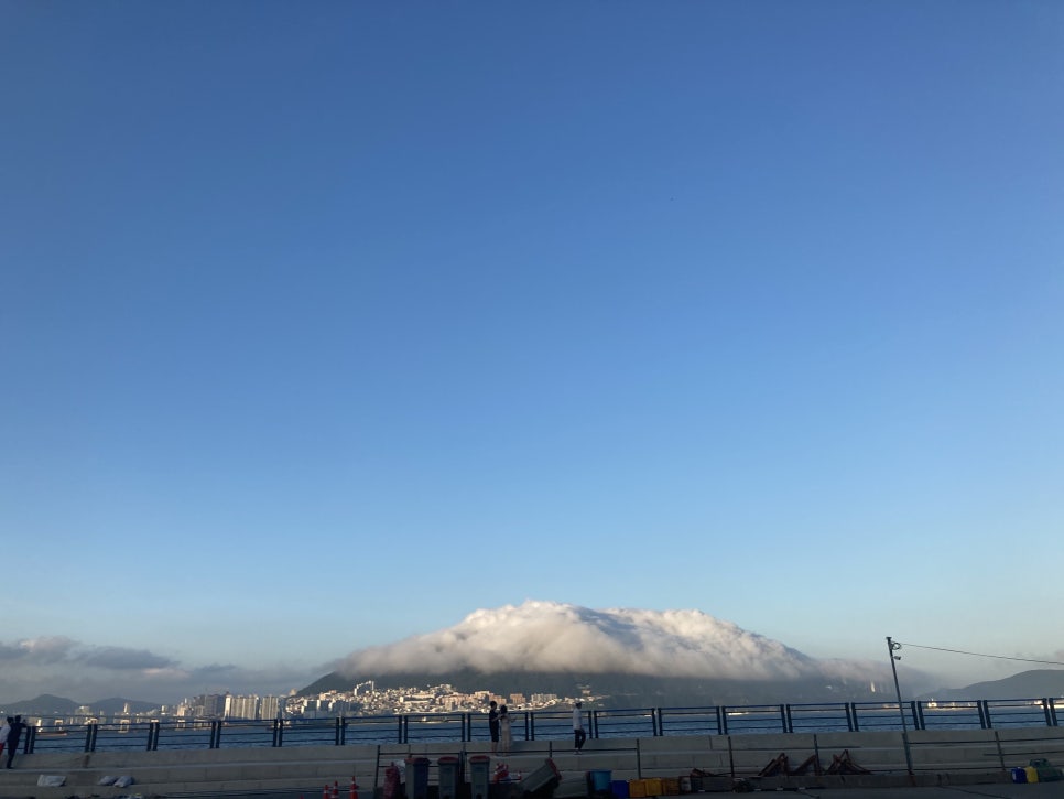 알찬해물 이미지