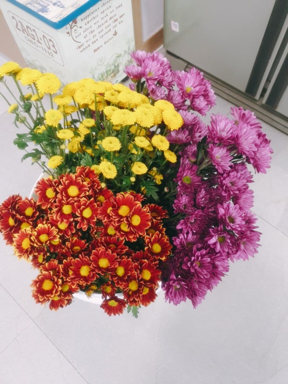 다미꽃농원 이미지