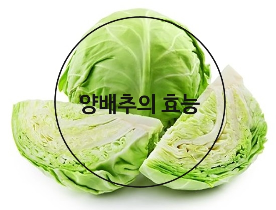 송림식품 이미지