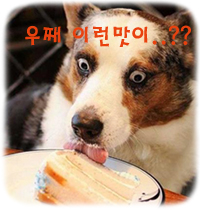 펀비어킹 이미지