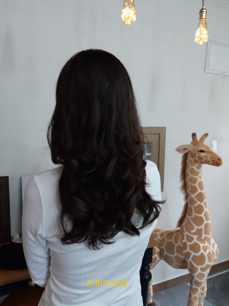 쏘피의 세계 이미지
