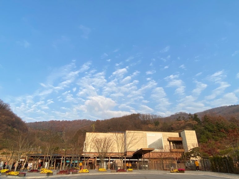 옻안타는천연염색 이미지