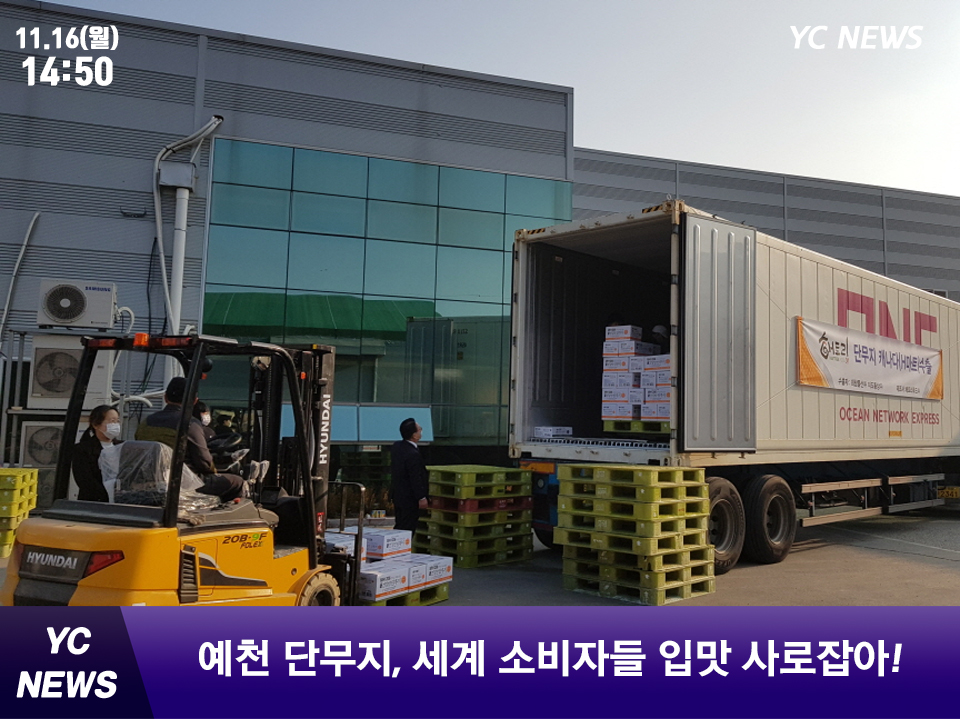명품 단무지 이미지