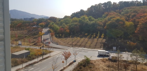 채움독서실 이미지