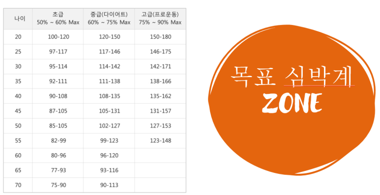스파인랩 이미지