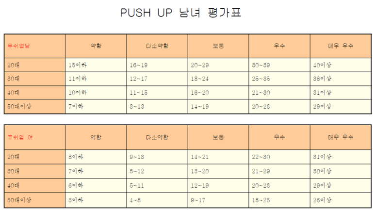 스파인랩 이미지