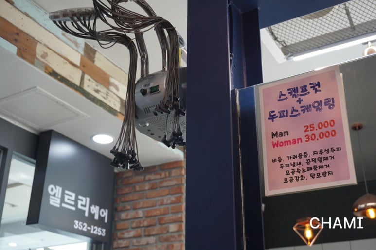 엘르리헤어 이미지