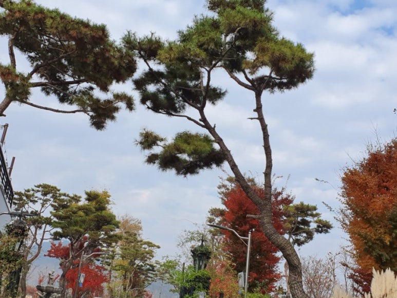 경남요리제과제빵커피학원 이미지