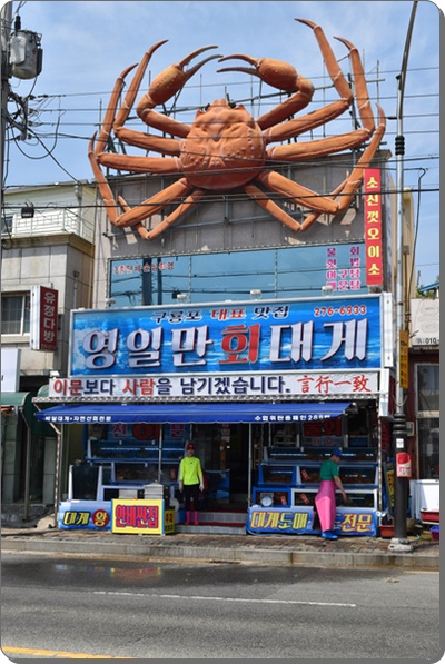 구룡포회 이미지